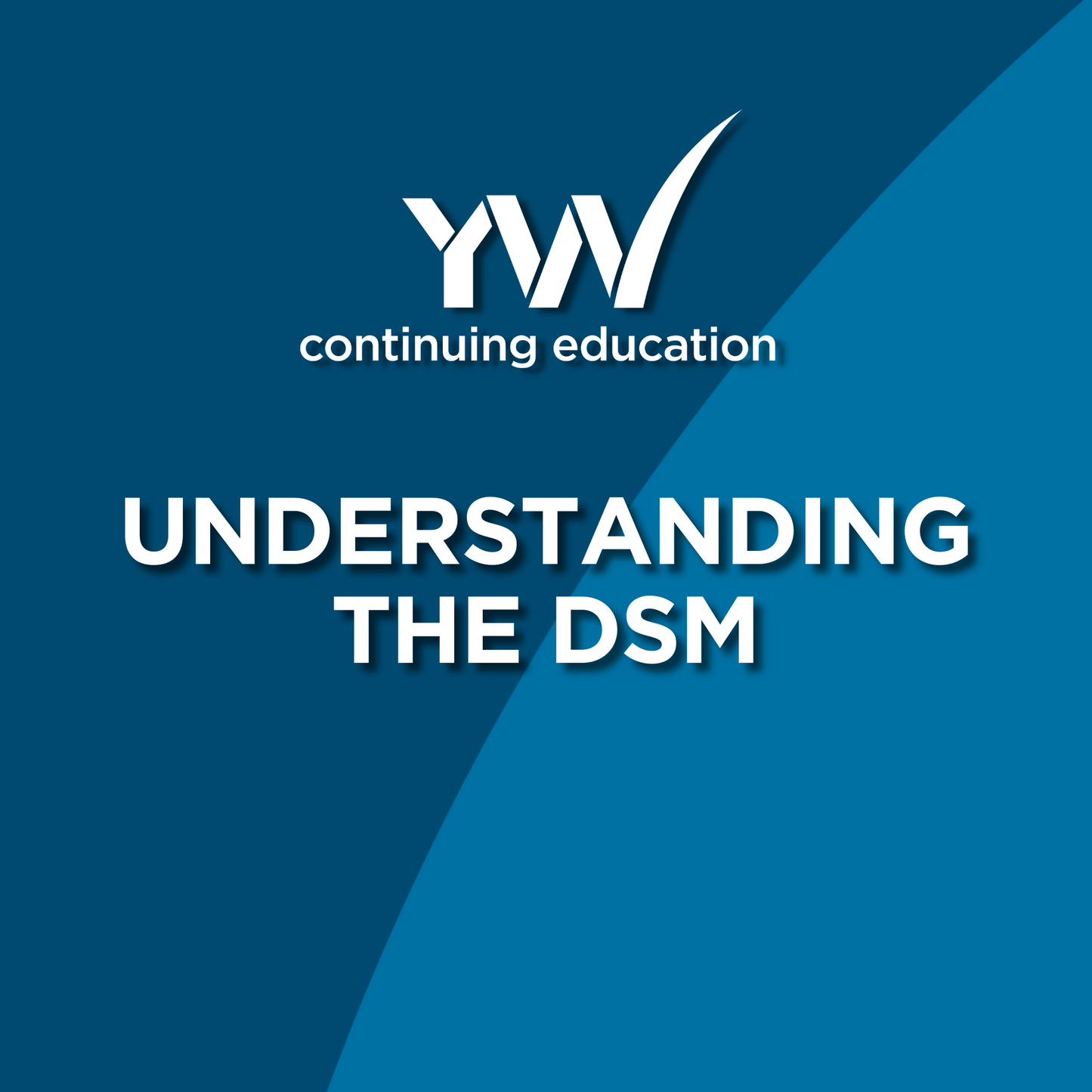 Understanding the DSM